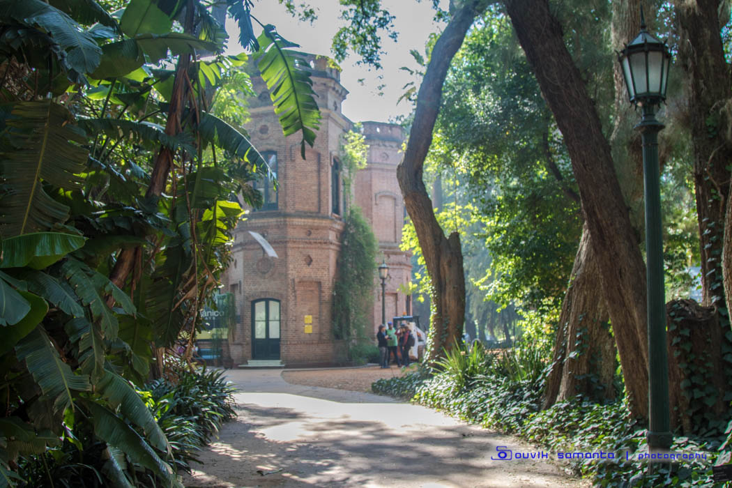 Buenos Aires – Flora & Fauna : Botanical Garden